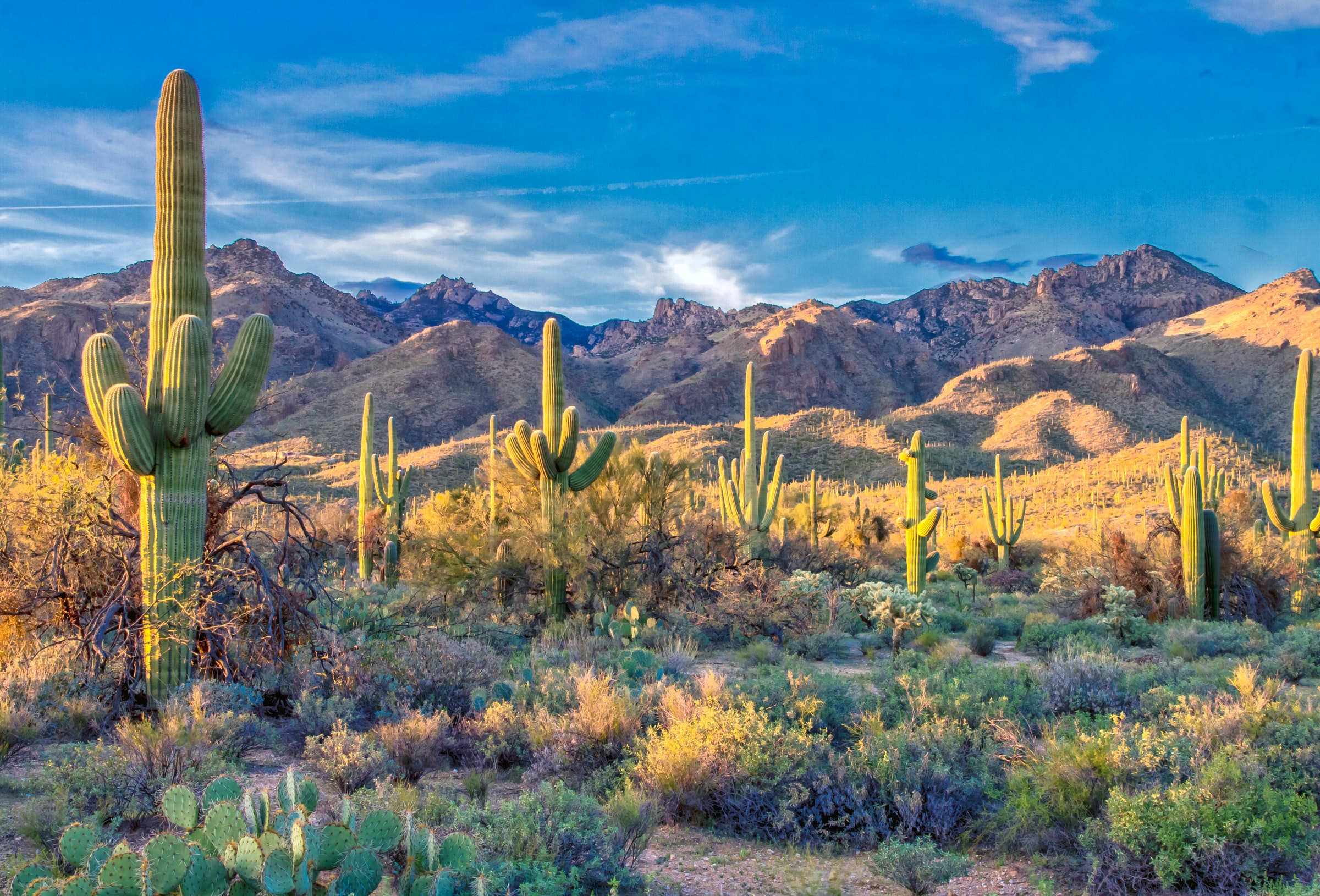 15 Facts About Latino Well-Being in Arizona