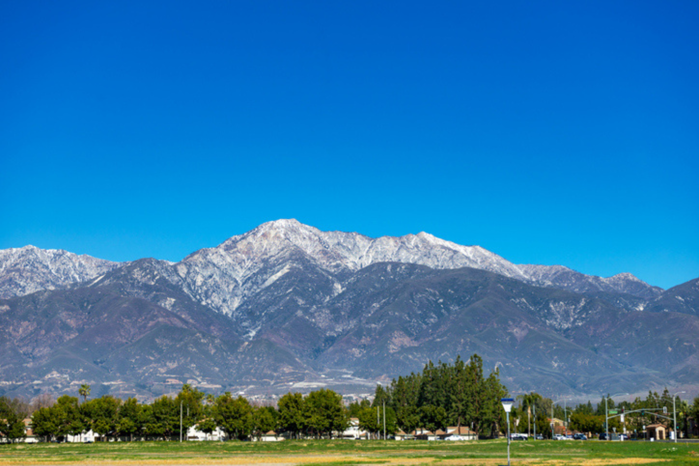 David Hayes-Bautista in The Sun: “Latino family businesses thriving in Inland Empire”