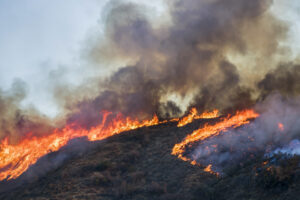 Wildfire Impacts Beyond Burn Zones: Highlighting Disparities in Health and Economic Vulnerability Among Latino and Underserved Communities