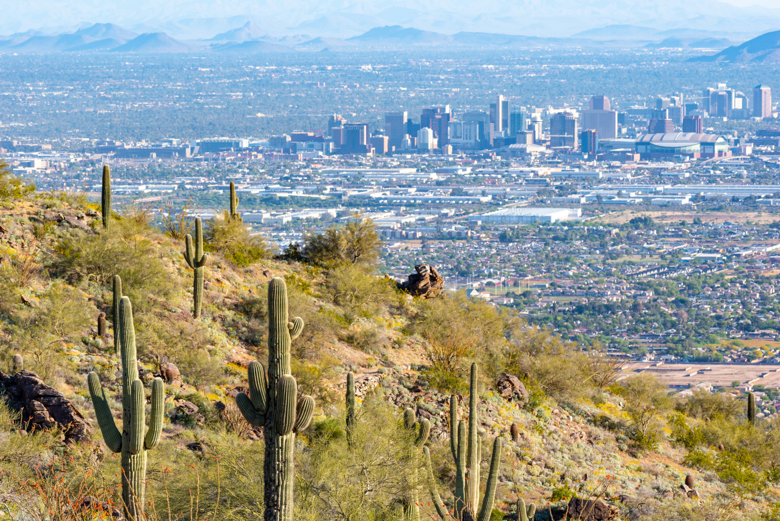 Building Stronger Communities: Insights from Local Economic Development Efforts in South Phoenix