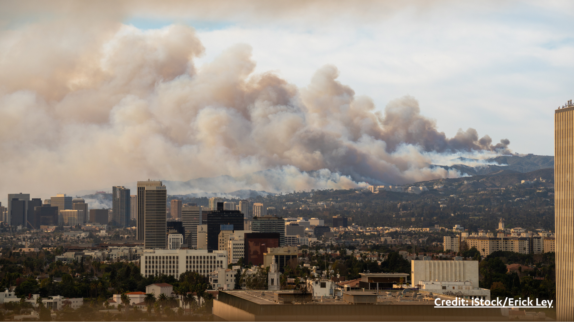 New Brief Series Documents the Impacts of Los Angeles Wildfires on Small Businesses